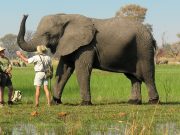 BOSTWANA 8 DAYS THREE RIVERS SAFARI