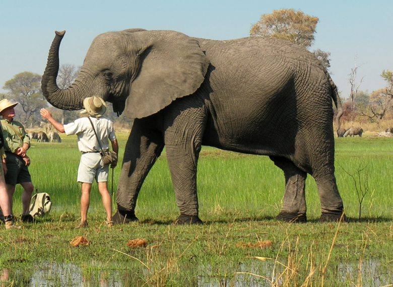 BOSTWANA 8 DAYS THREE RIVERS SAFARI