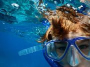 WASINI ISLAND: 1 DAY SNORKELLING &DOLPHINE WATCHING