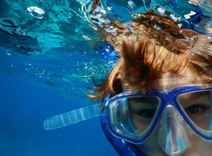 WASINI ISLAND: 1 DAY SNORKELLING &DOLPHINE WATCHING