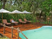 NAIROBI: 4 DAYS MASAI MARA TOUR