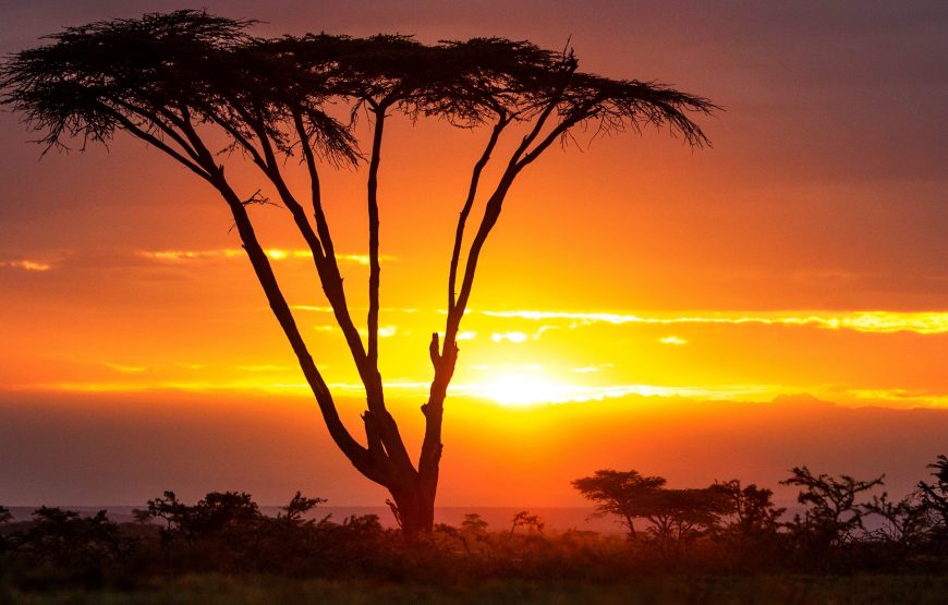 10 DAYS – BOSTWANA SHUTTER SAFARI