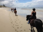 GO HORSE RIDING ALONG THE BEACH CAPE TOWN