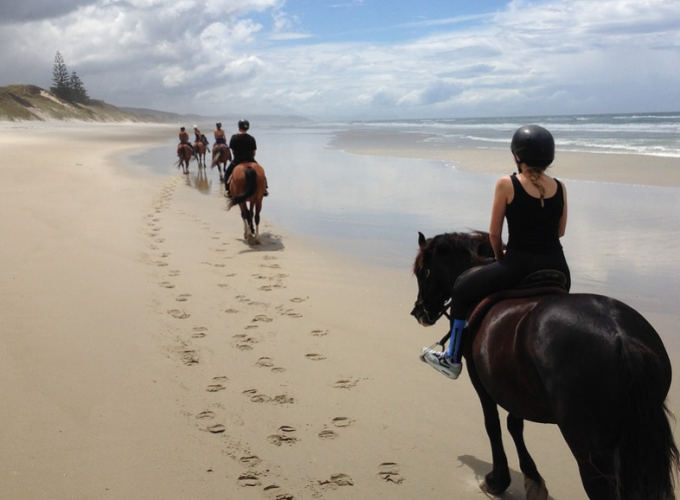 GO HORSE RIDING ALONG THE BEACH CAPE TOWN