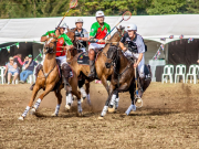 HORSE & POLO GAME RIDE IN MADRID