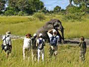 8 DAYS KUSINI CLASSIC  TANZANIA  SAFARI