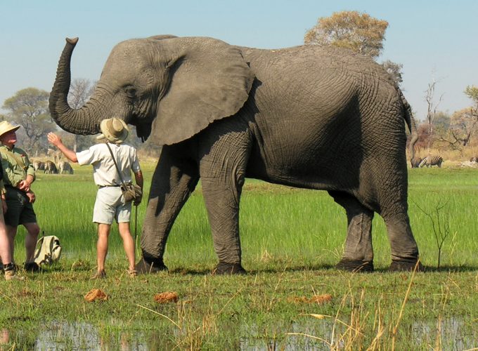 11 DAYS MULTIPLE CULTURE ADVENTURE  SAFARI