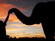 TSAVO: 3 DAYS TSAVO NATIONAL PARK-BEACH TRIP
