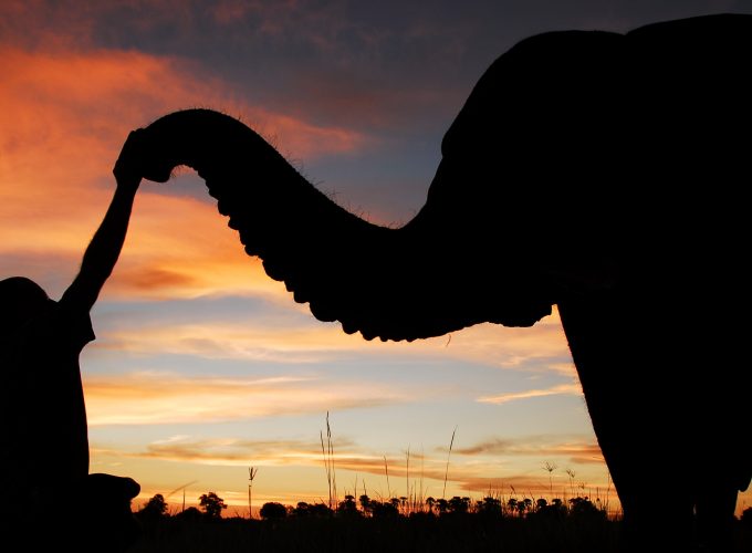 TSAVO: 3 DAYS TSAVO NATIONAL PARK-BEACH TRIP