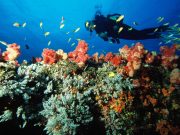 6 DAYS-DEEP BLUE ISLANDS OF MOZAMBIQUE SAFARI