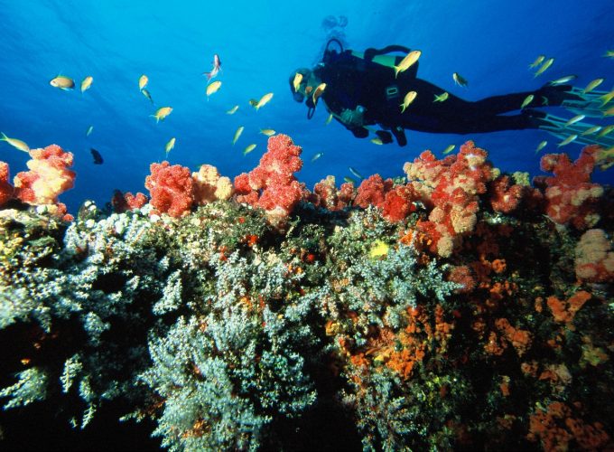 6 DAYS-DEEP BLUE ISLANDS OF MOZAMBIQUE SAFARI
