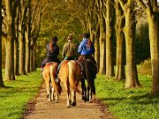 HORSE RIDING ADVENTURE IN MADRID