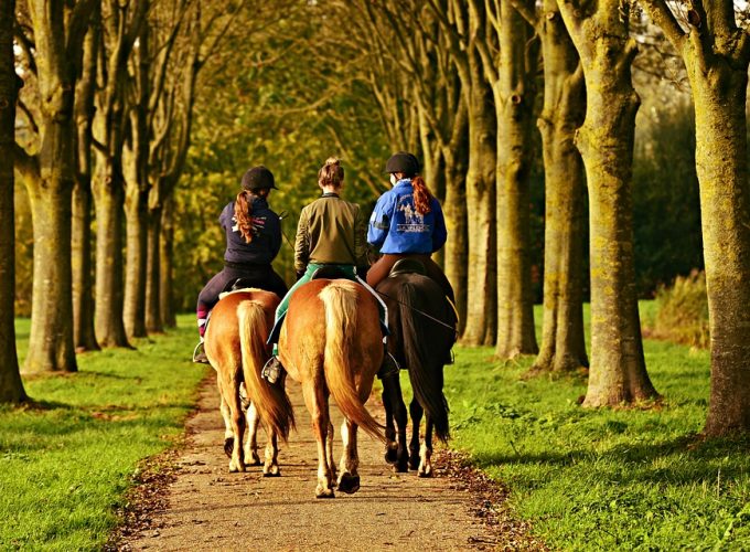 HORSE&POLO GAME RIDING AT COOLMINES