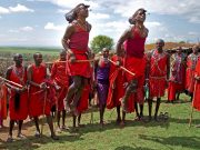 NAIROBI: 1 DAY-NAIROBI CITY TOUR