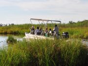 12 DAYS-CHOBE RIVER PHOTOGRAPHY SAFARI
