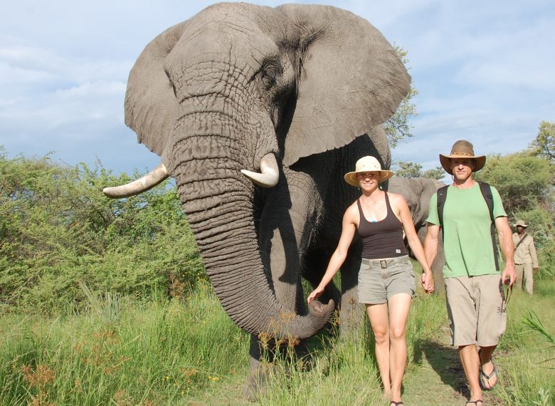 5 DAYS OKAVANGO HEART OF DELTA SAFARI