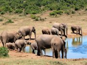 1DAY NAIROBI-NAIVAHSHA-TOUR