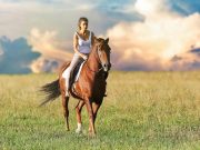 HORSE RIDING & PICNIC ACTIVITY MUNICH