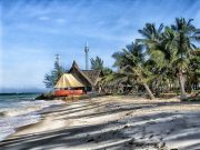 WASINI ISLAND: FULL DAY TRIP TO SOUTHCOAST