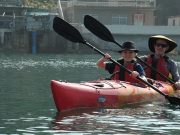 KAYAKING ADVENTURE BOULDERS BEACH CAPE TOWN