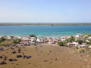 WASINI: LET GO TO THE ISLAND DAY TRIP