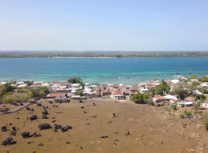 WASINI: LET GO TO THE ISLAND DAY TRIP