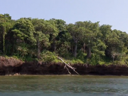 MOMBASA: 1 DAY KISITE MPUNGUTI MARINE NATIONAL PARK