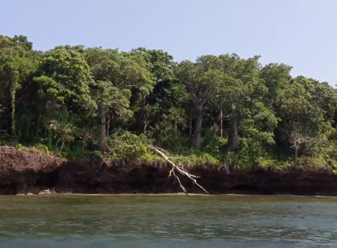 MOMBASA: 1 DAY KISITE MPUNGUTI MARINE NATIONAL PARK
